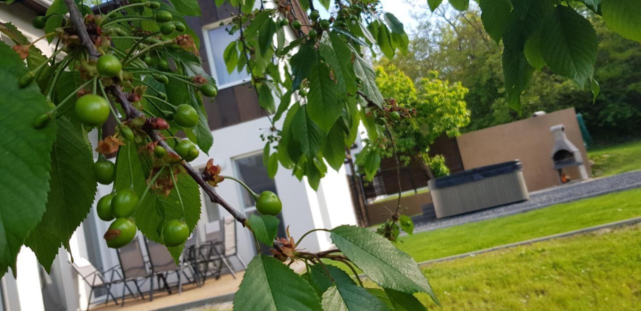 Kenese-Voelgye Villahotel Balatonkenese Exterior foto